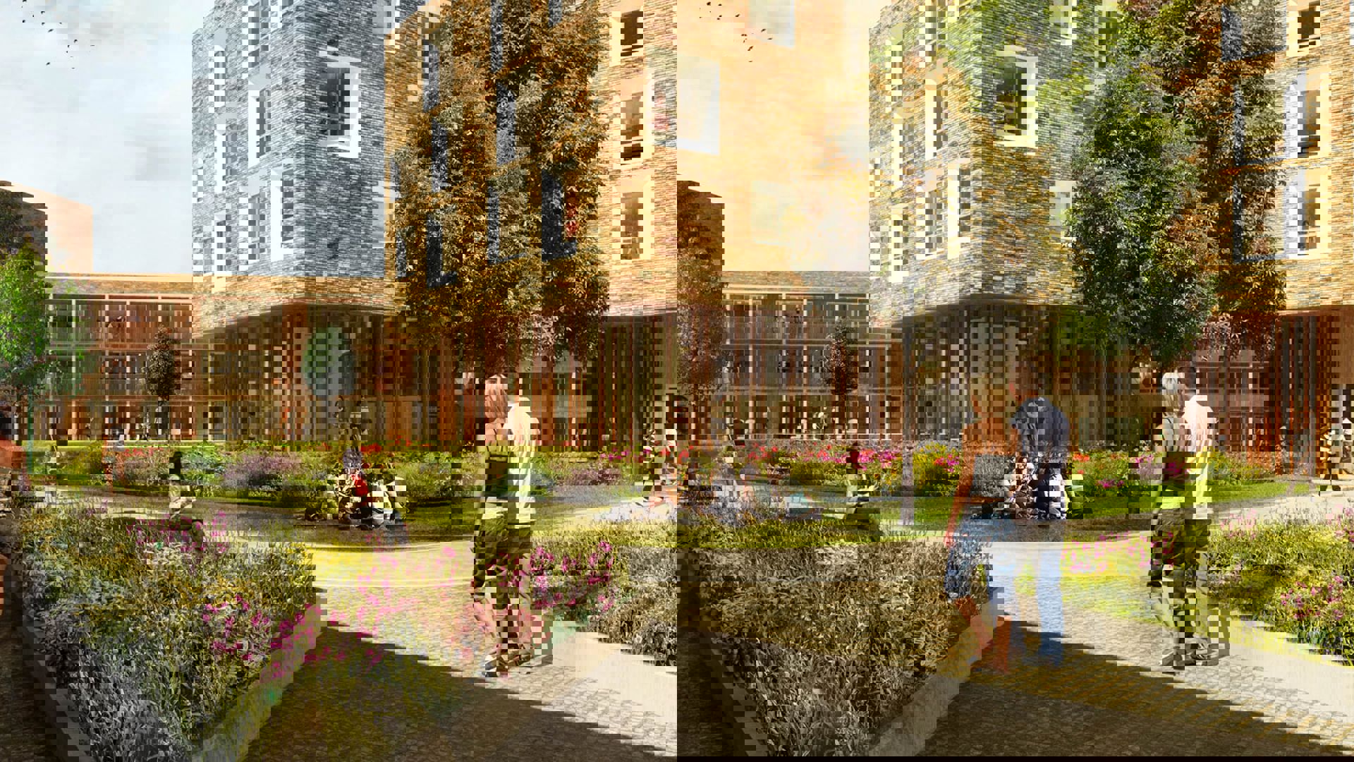 University Of Cambridge