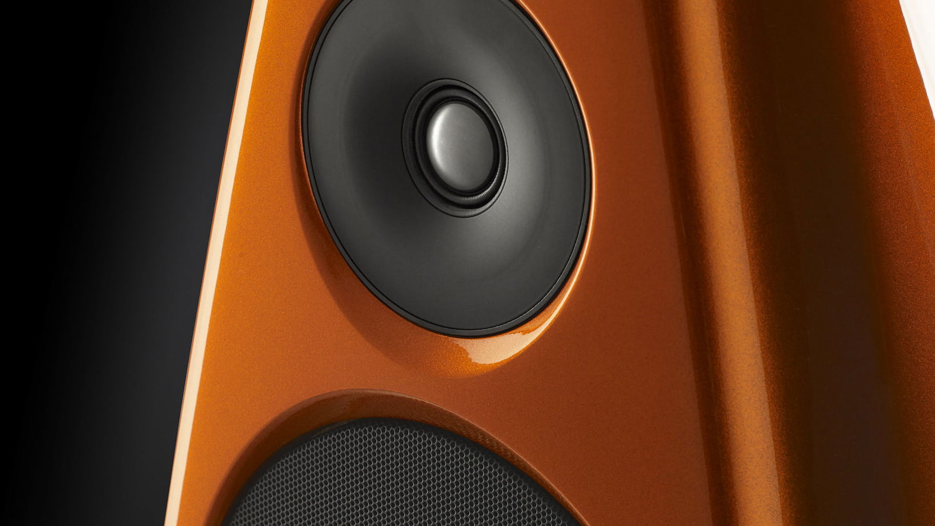 Speaker Closeup